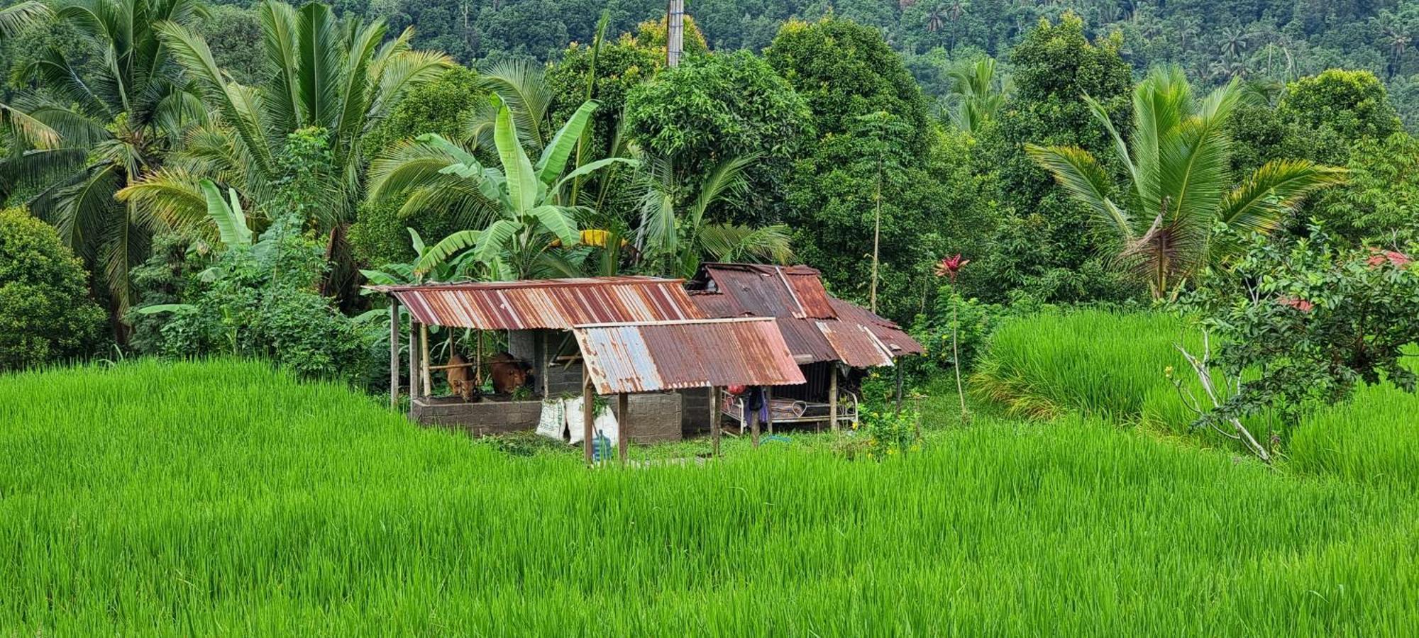 Utopiaku - Munduk Highlands Villa Buitenkant foto