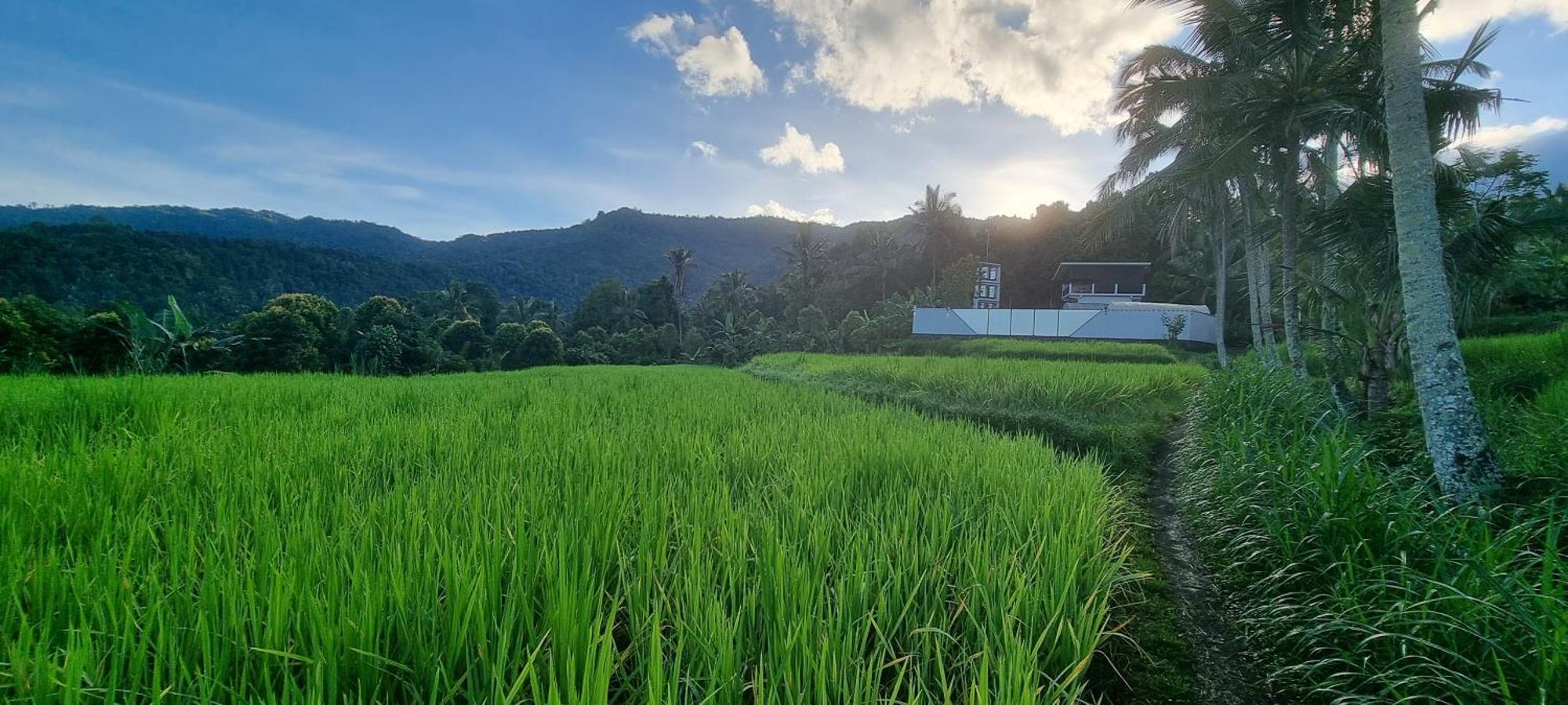 Utopiaku - Munduk Highlands Villa Buitenkant foto