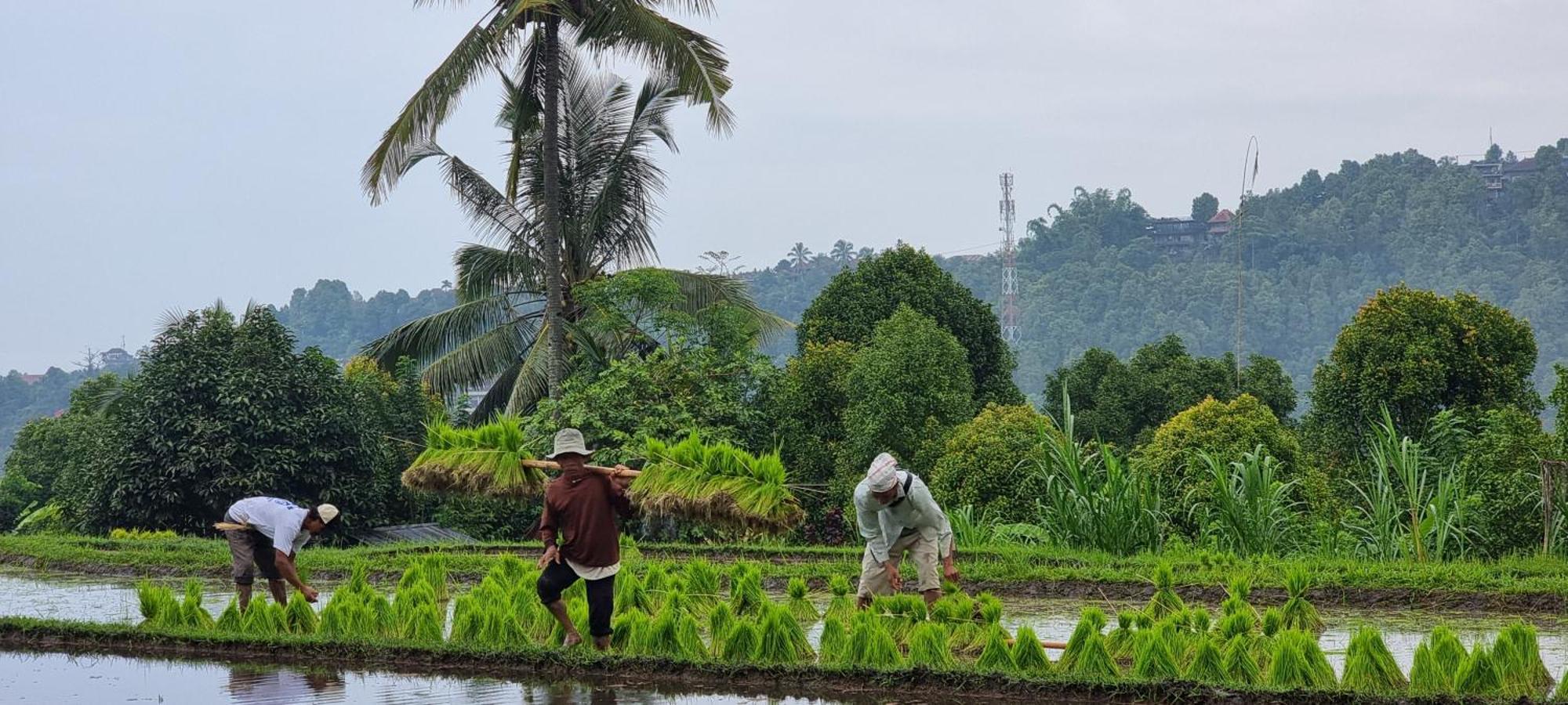 Utopiaku - Munduk Highlands Villa Buitenkant foto