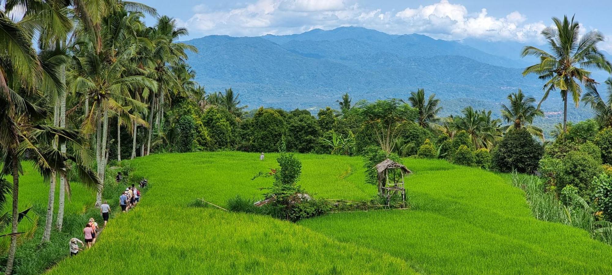 Utopiaku - Munduk Highlands Villa Buitenkant foto