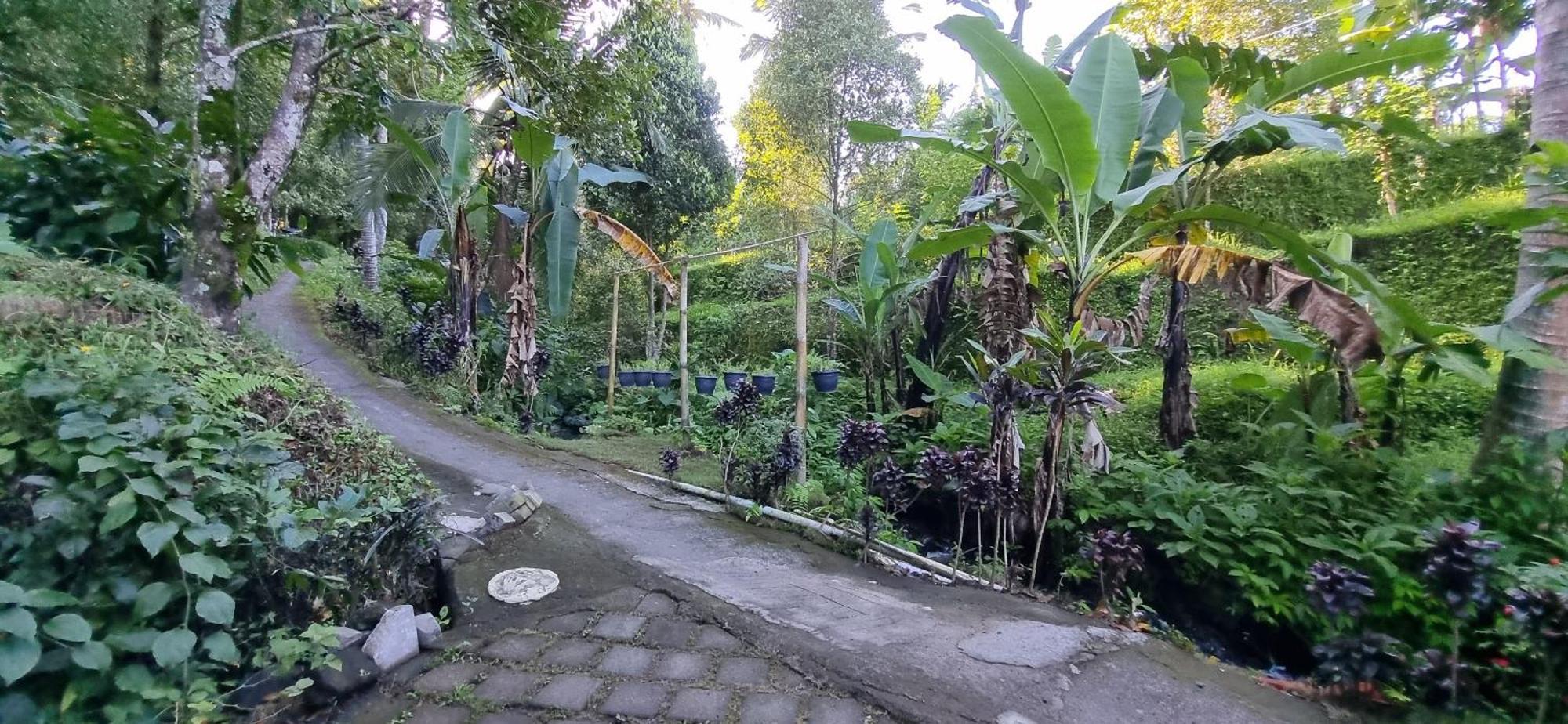 Utopiaku - Munduk Highlands Villa Buitenkant foto